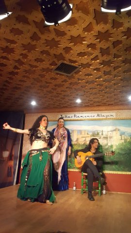576 granada flamenco show